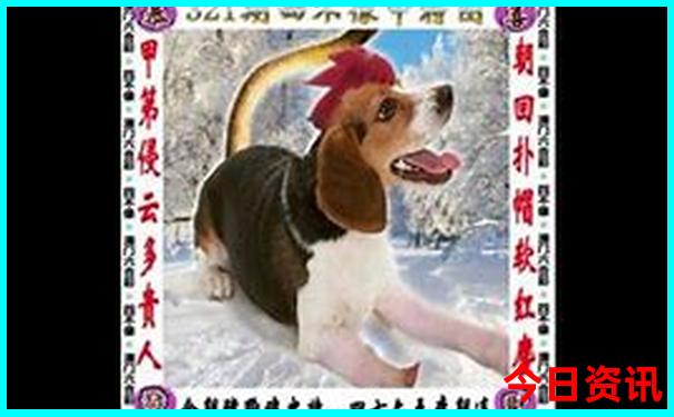 全国十大景区排名