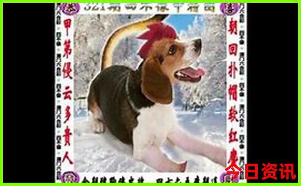 黄水镇周边旅游景点